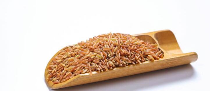 红米一般泡多久可以蒸米饭